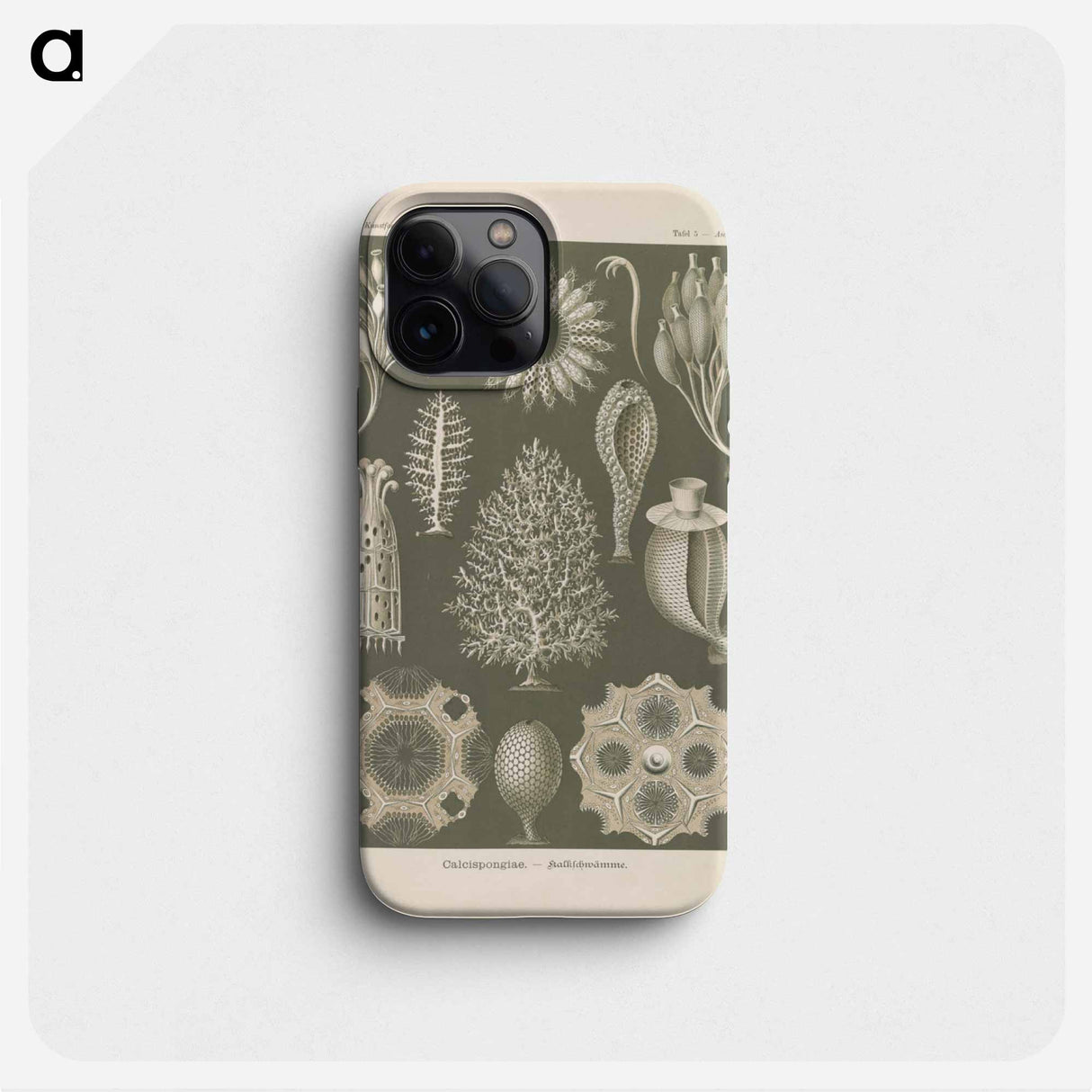 Marine life illustration - エルンスト ヘッケル Phone Case.