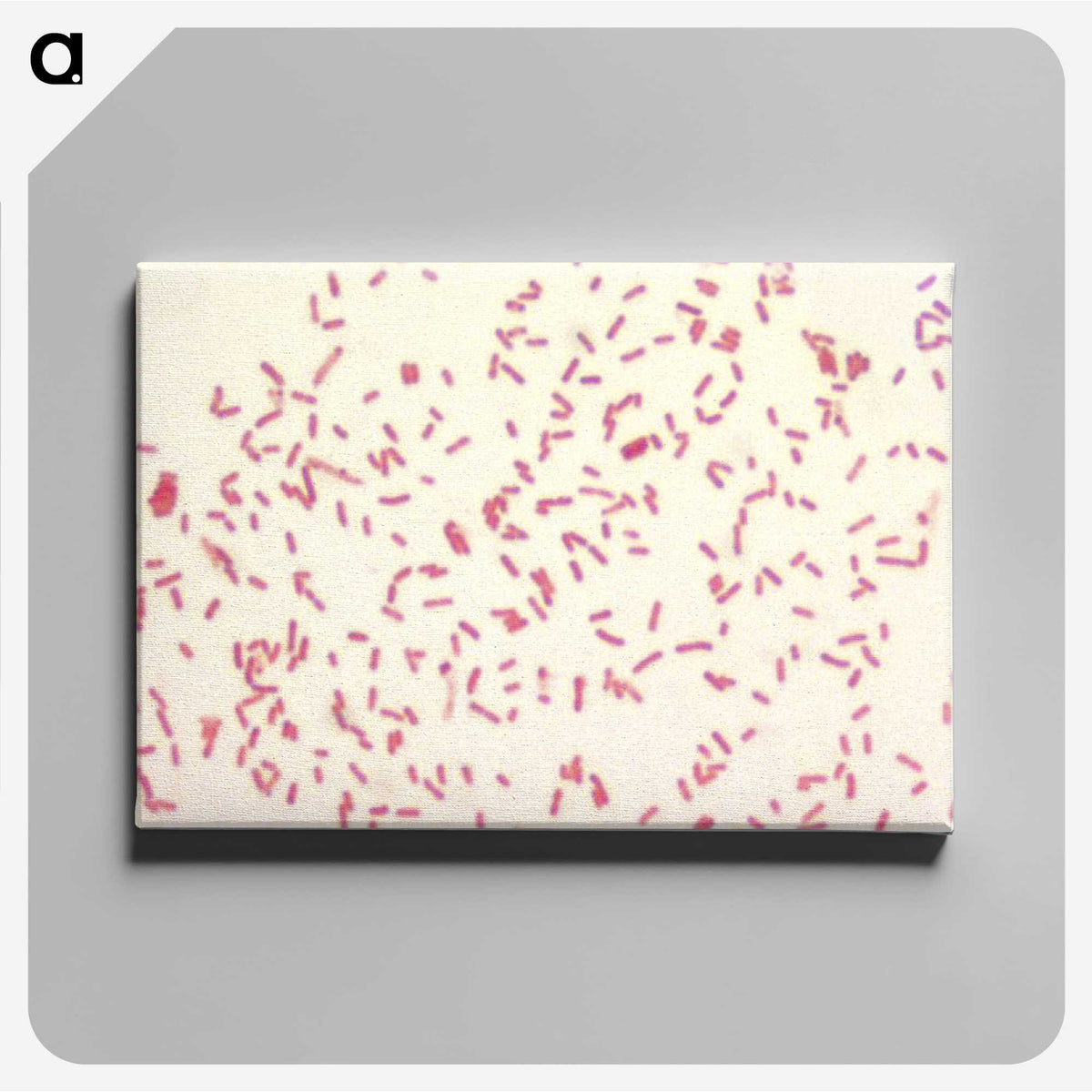 3-57_COVID-19_canvas
