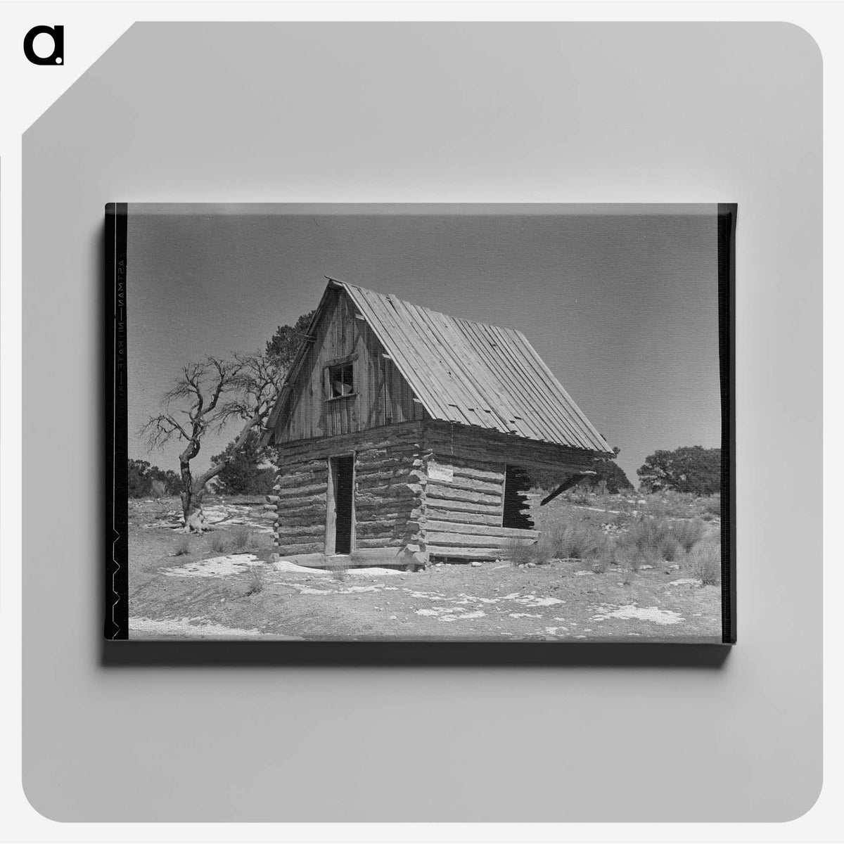 3-57_Dorothea-Lange_canvas