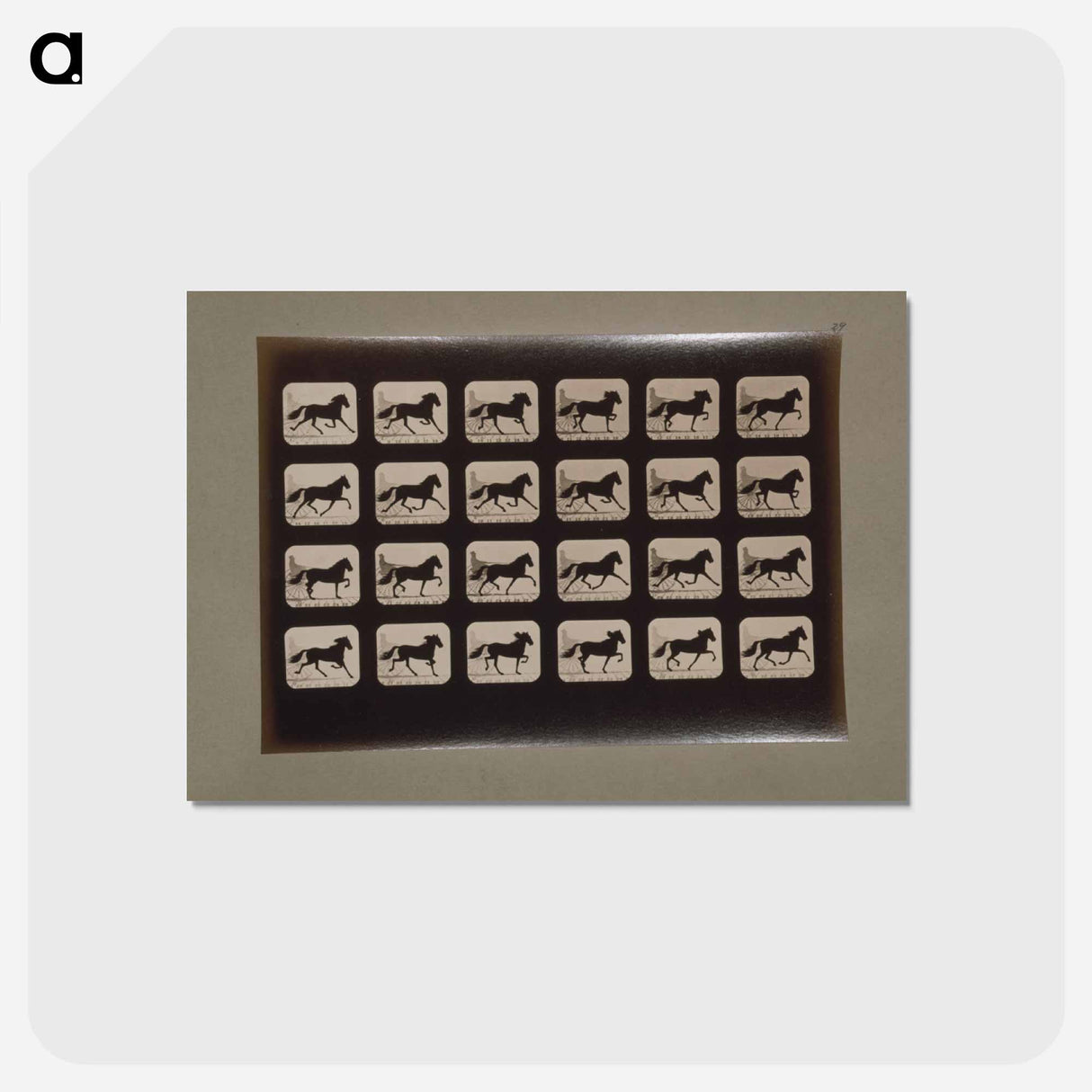 アートポストカード-Trotting Horses
- エドワード マイブリッジ Postcard.