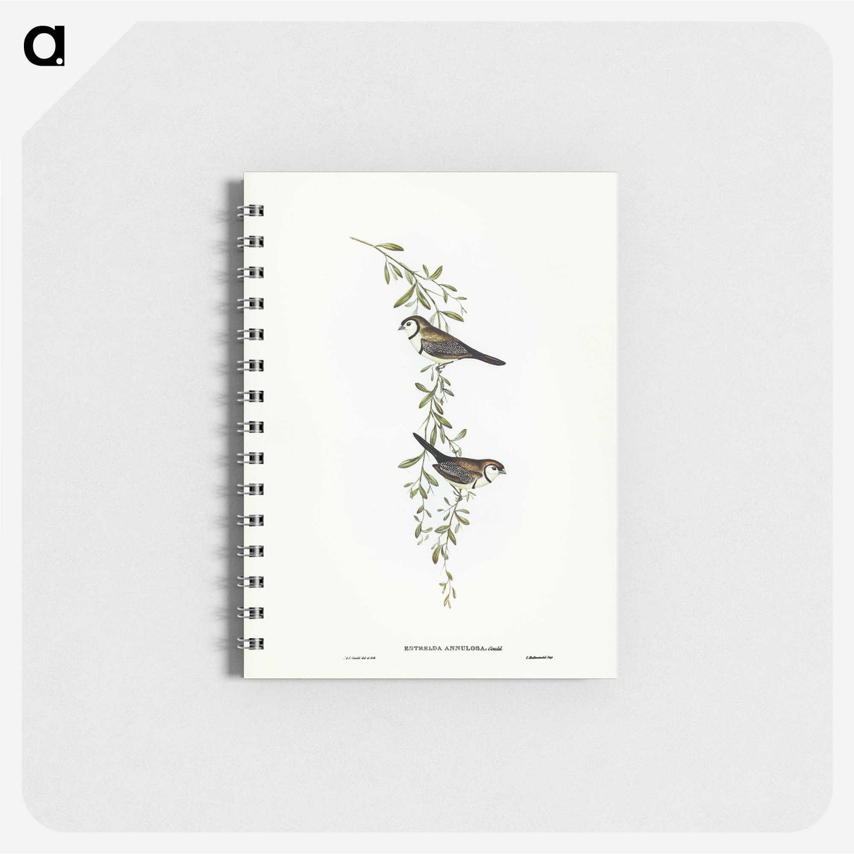 3-57_John-Gould_memo