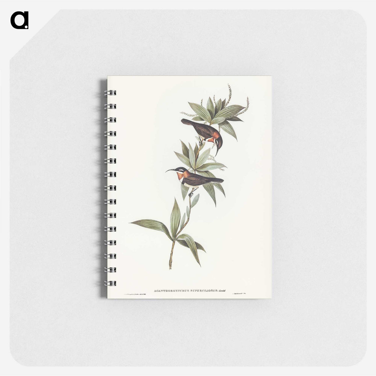 3-58_John-Gould_memo
