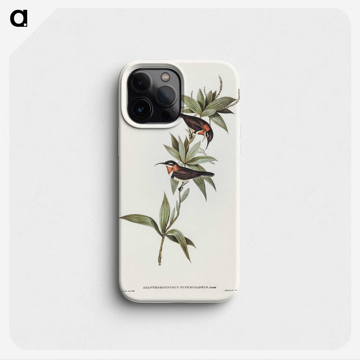 3-58_John-Gould_phone