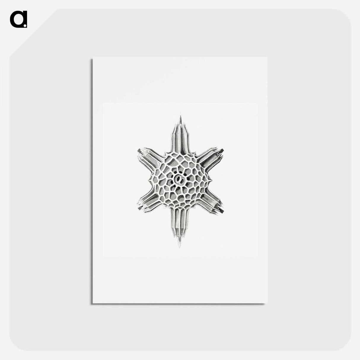 アートポストカード-Vintage marine life illustration on white background - エルンスト ヘッケル Postcard.