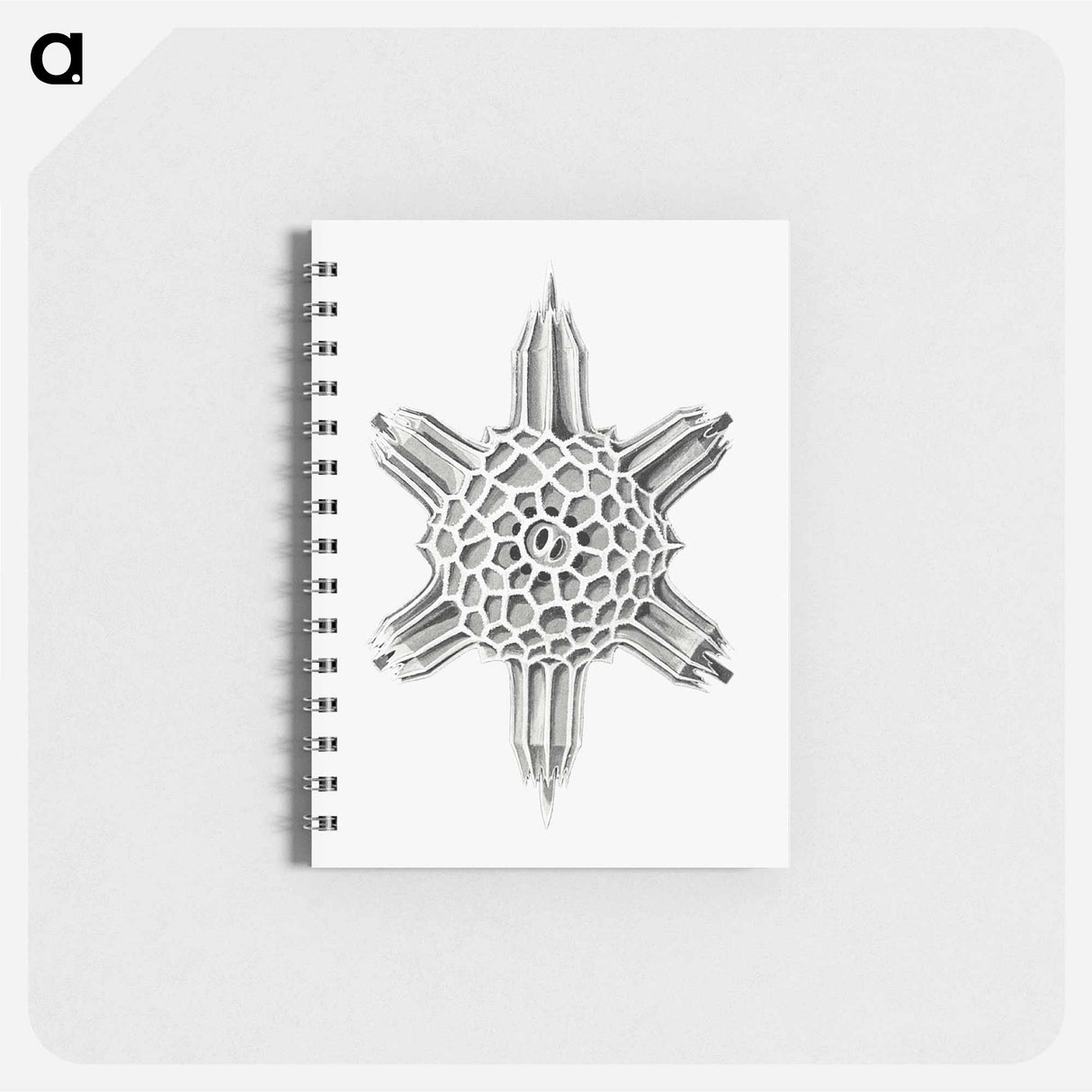 アートメモ帳-Vintage marine life illustration on white background - エルンスト ヘッケル Memo.