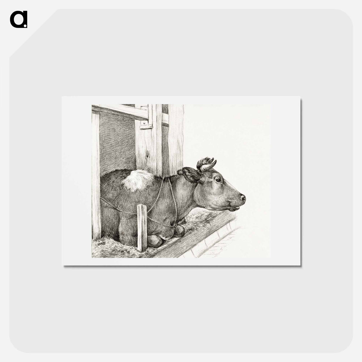 アートポストカード-Lying cow - ジャン ベルナール Postcard.