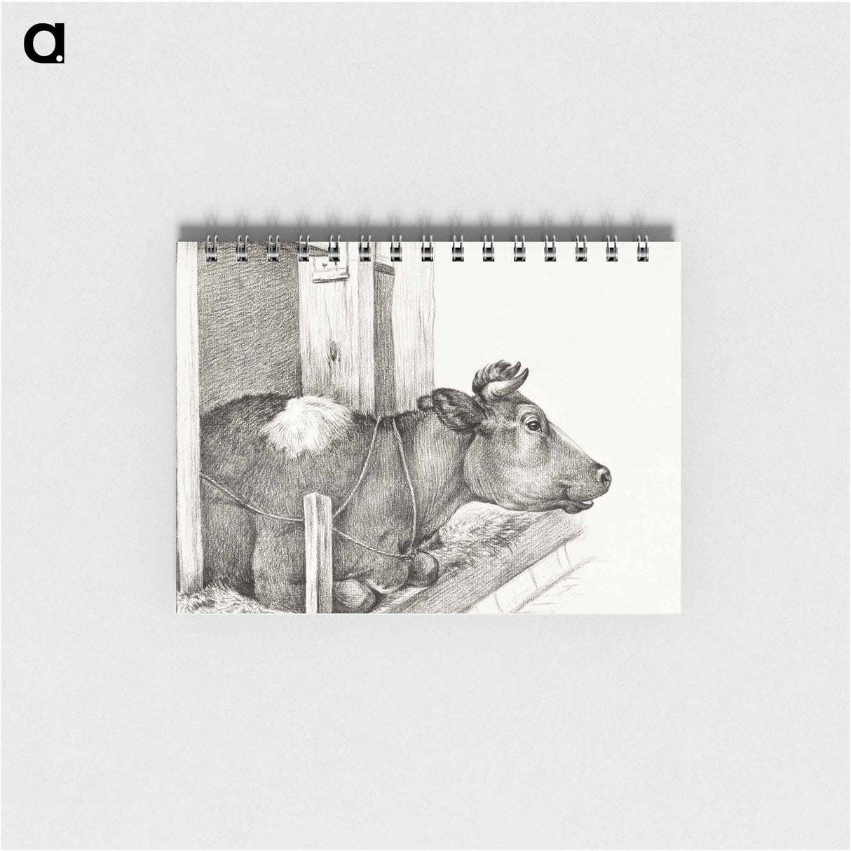 Lying cow - ジャン ベルナール Memo.