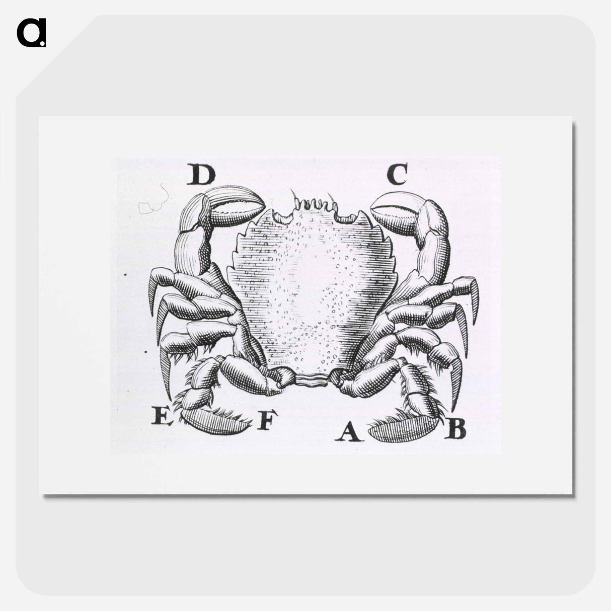 アートポスター-Crustacean
- 国立医学図書館 Poster.
