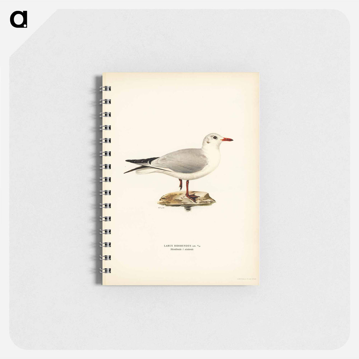 アートメモ帳-Black-Headed Gull
- スヴェンスカ フォグラル Memo.