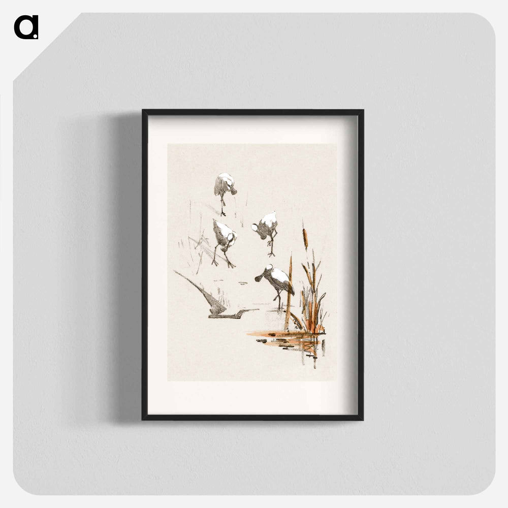 Wenskaart met vier lepelaars - Theo van Hoytema Poster.