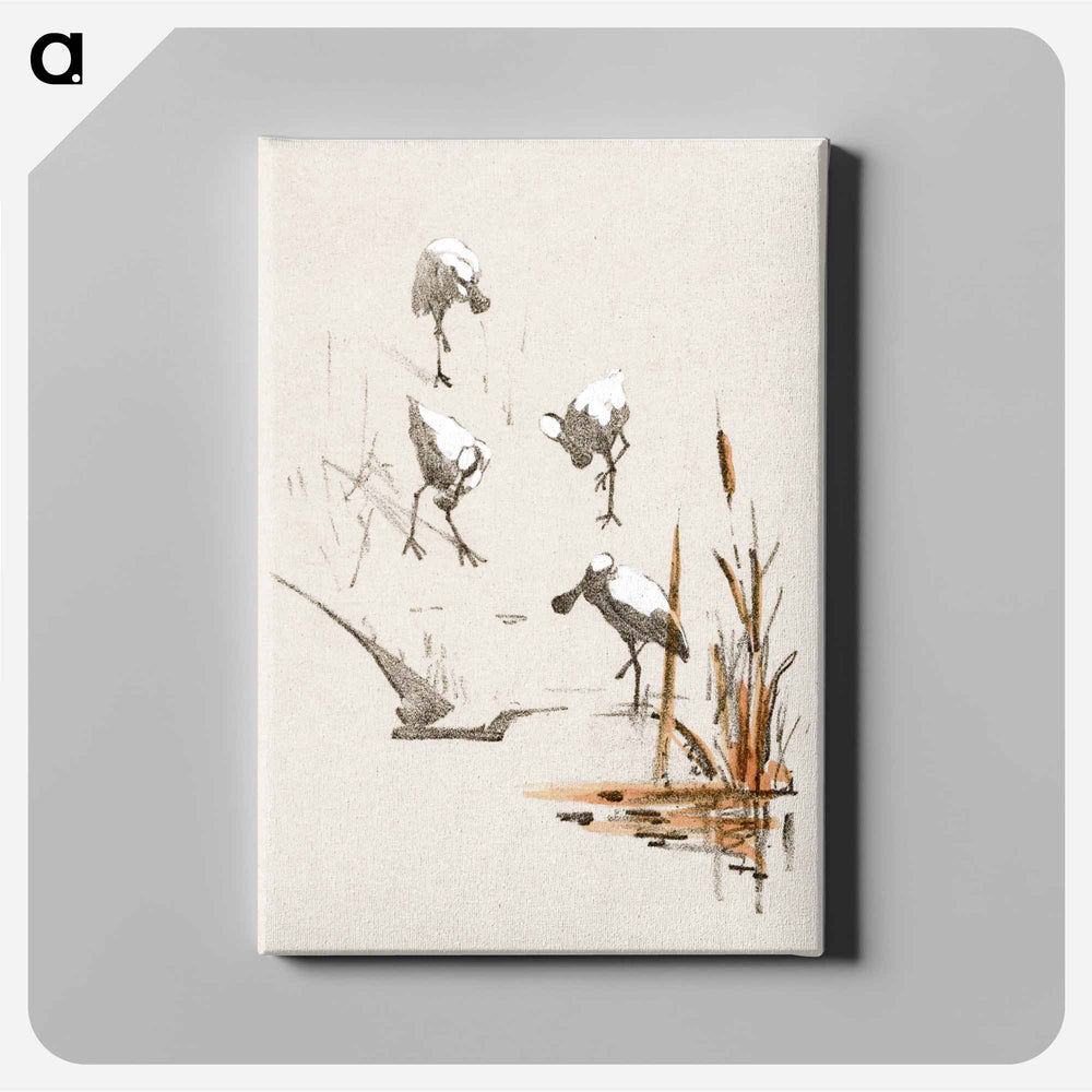 Wenskaart met vier lepelaars - Theo van Hoytema Canvas.