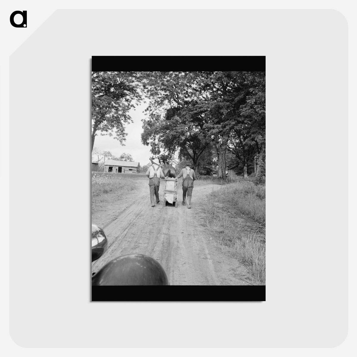 3-5_Dorothea-Lange_postcard