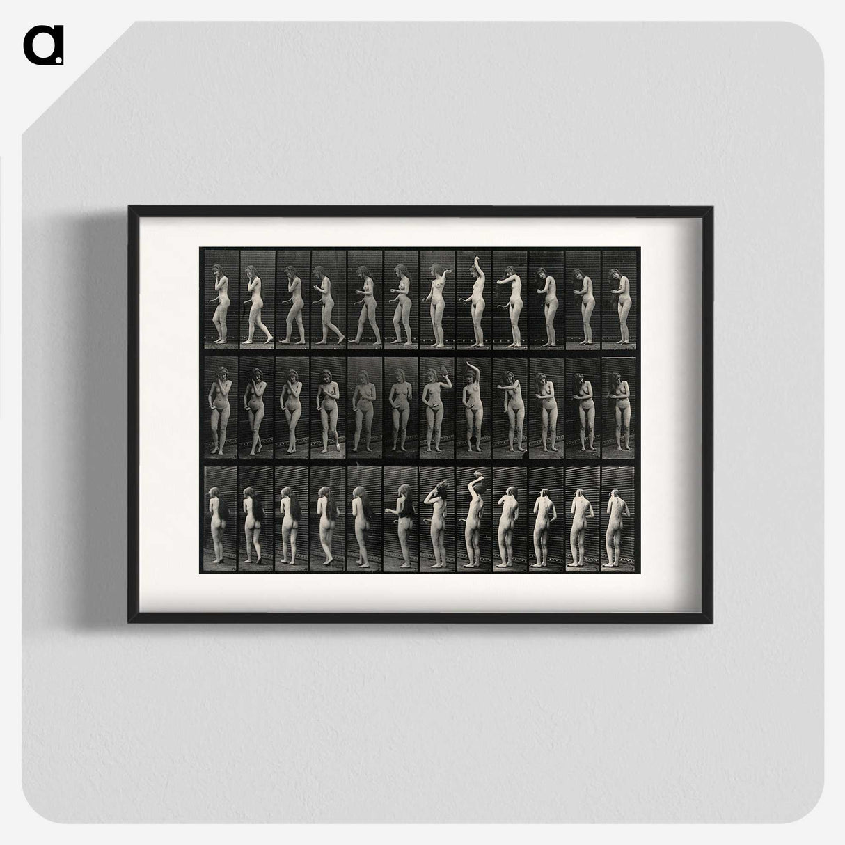 3-5_Eadweard-Muybridge_blk