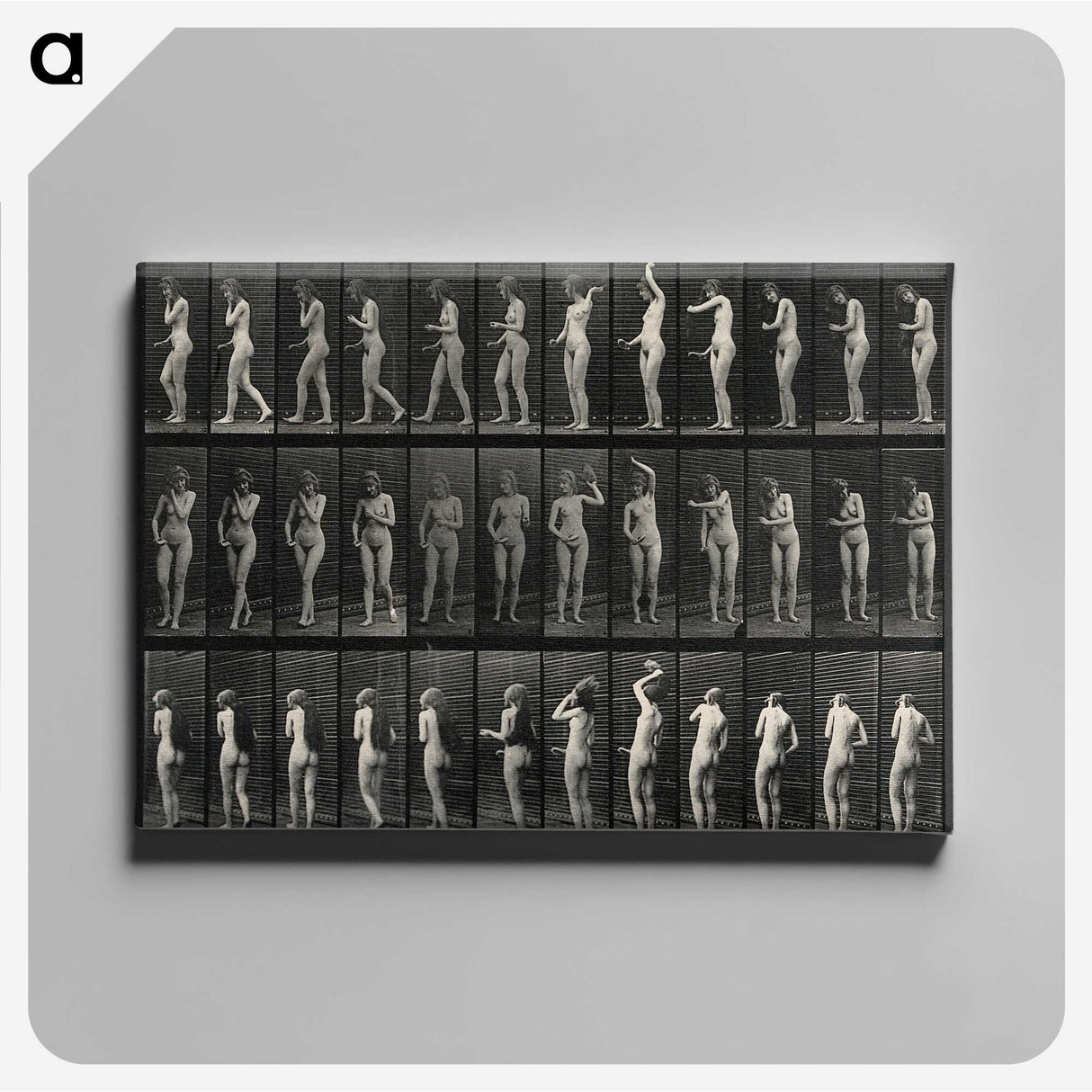 3-5_Eadweard-Muybridge_canvas