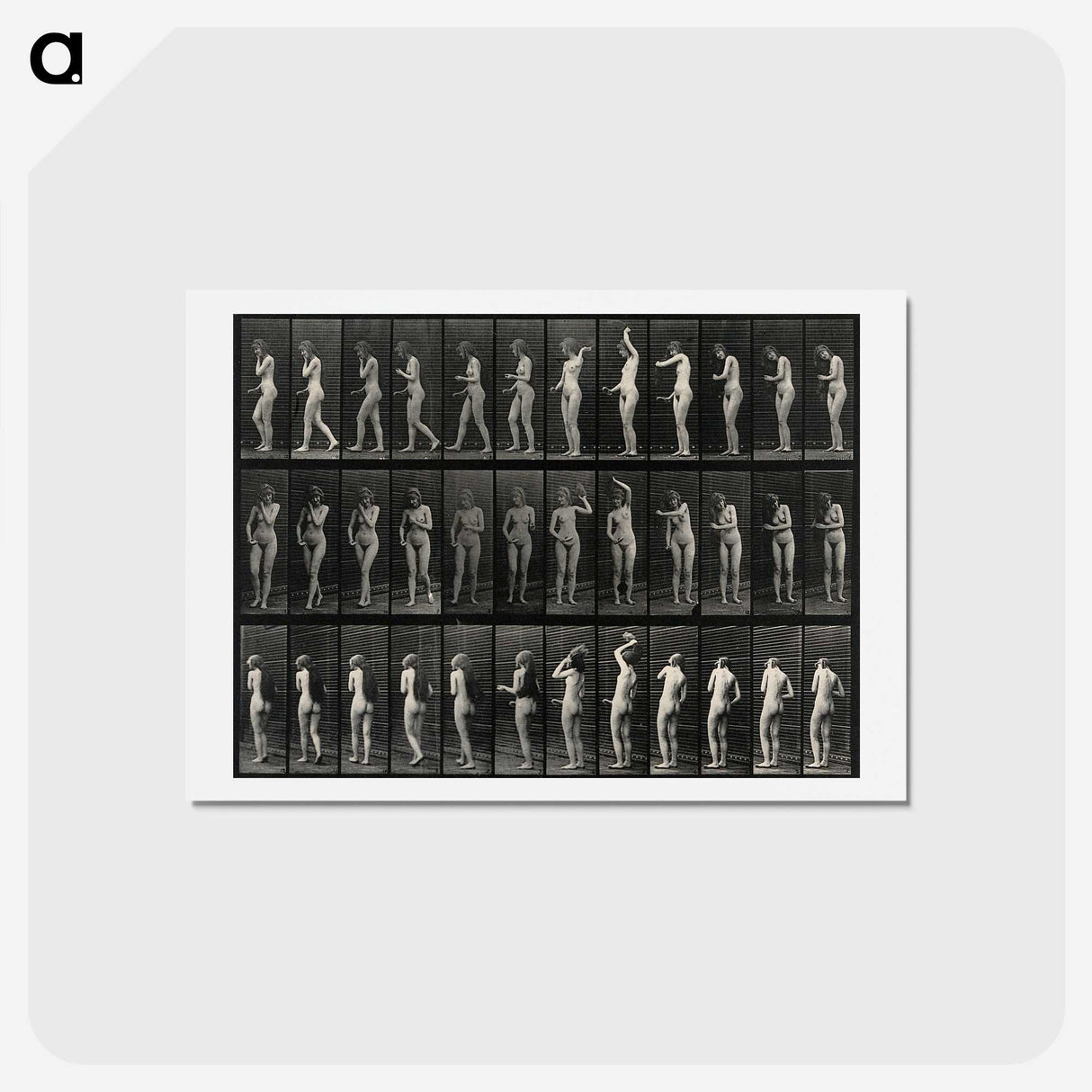 3-5_Eadweard-Muybridge_hagaki