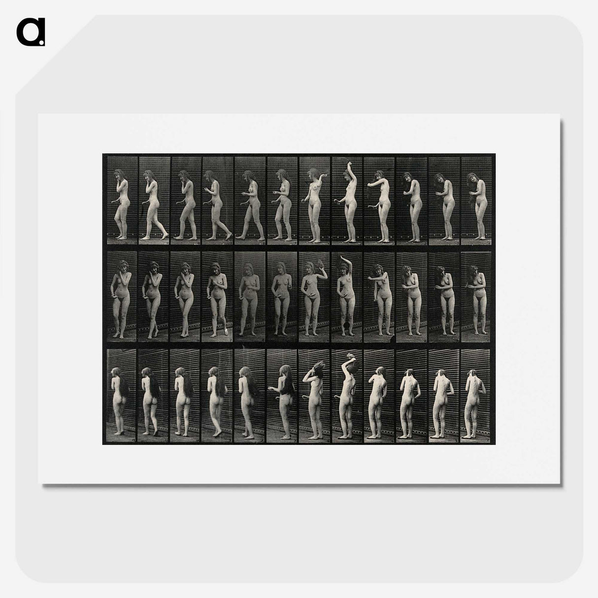 3-5_Eadweard-Muybridge_picture