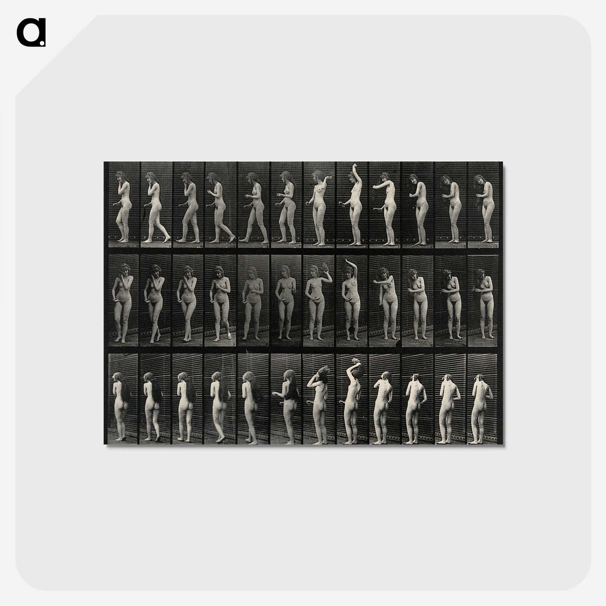 3-5_Eadweard-Muybridge_postcard
