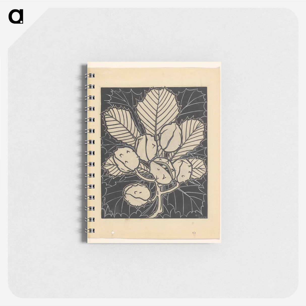 Blad van een kastanje met vruchten - ユリー デ フラーハ Memo.