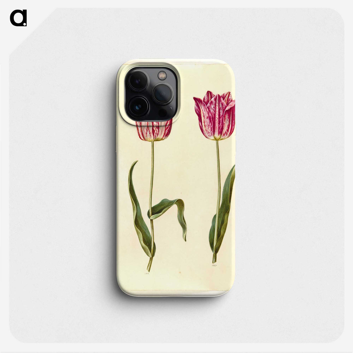 3-5_Maria-Sibylla-Merian_phone