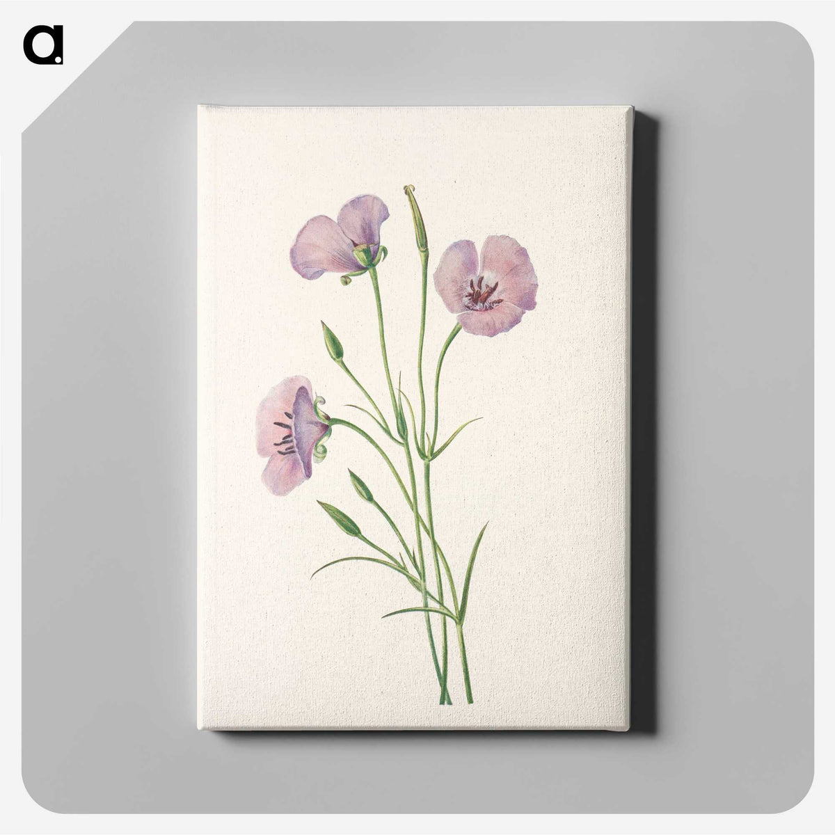3-5_Mary-Vaux-Walcott_canvas