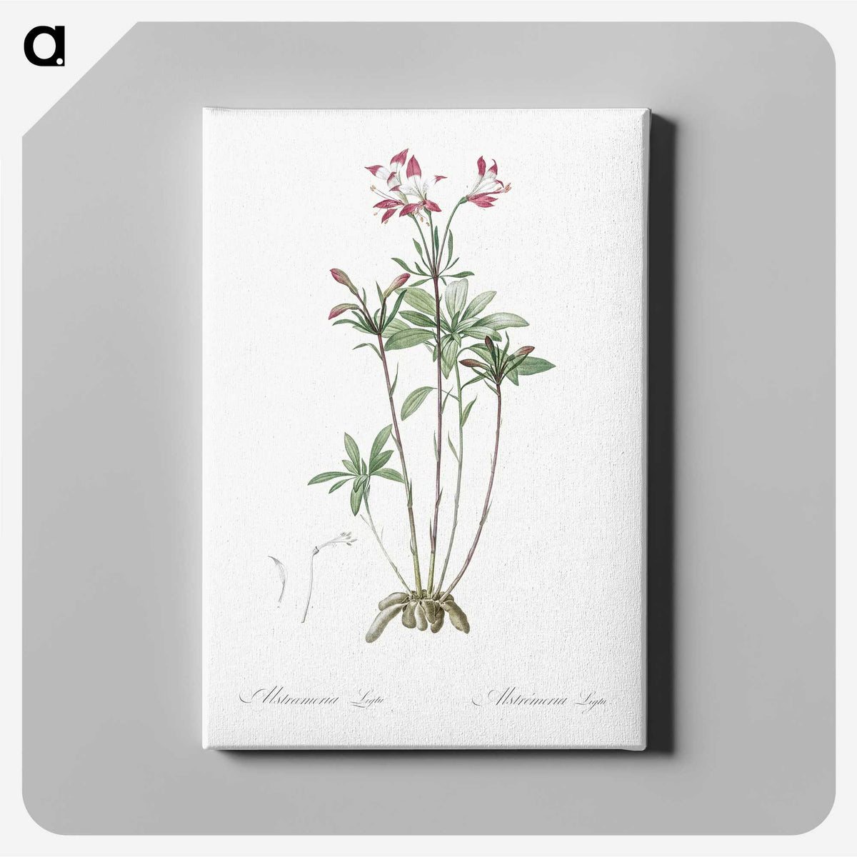 3-5_The-Lilies_canvas