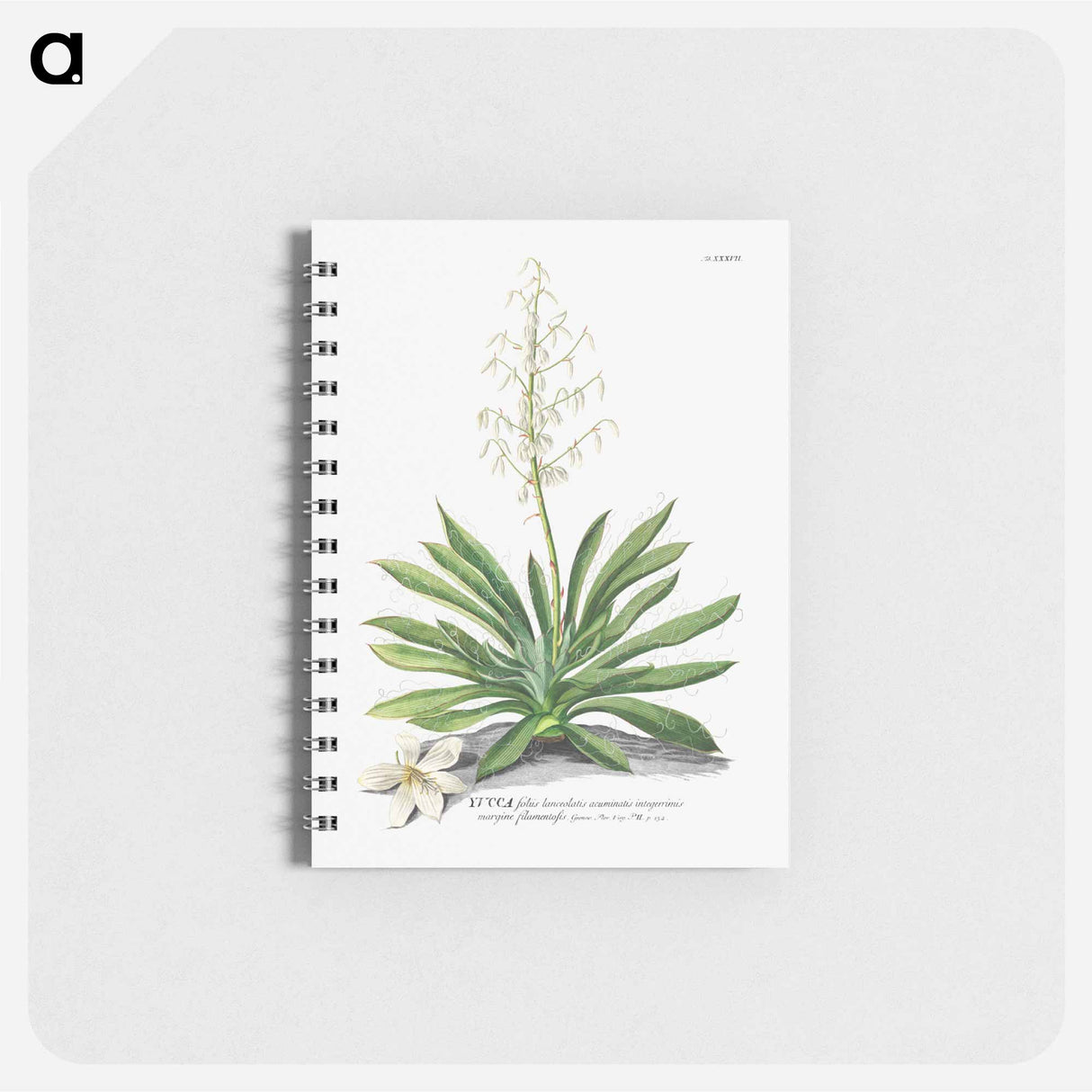 アートメモ帳-Yucca
- クリーブランド美術館 Memo.