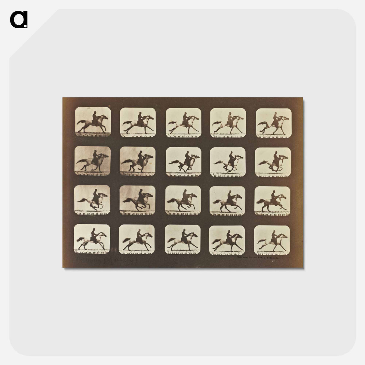 アートポストカード-Running (Galloping)
- エドワード マイブリッジ Postcard.
