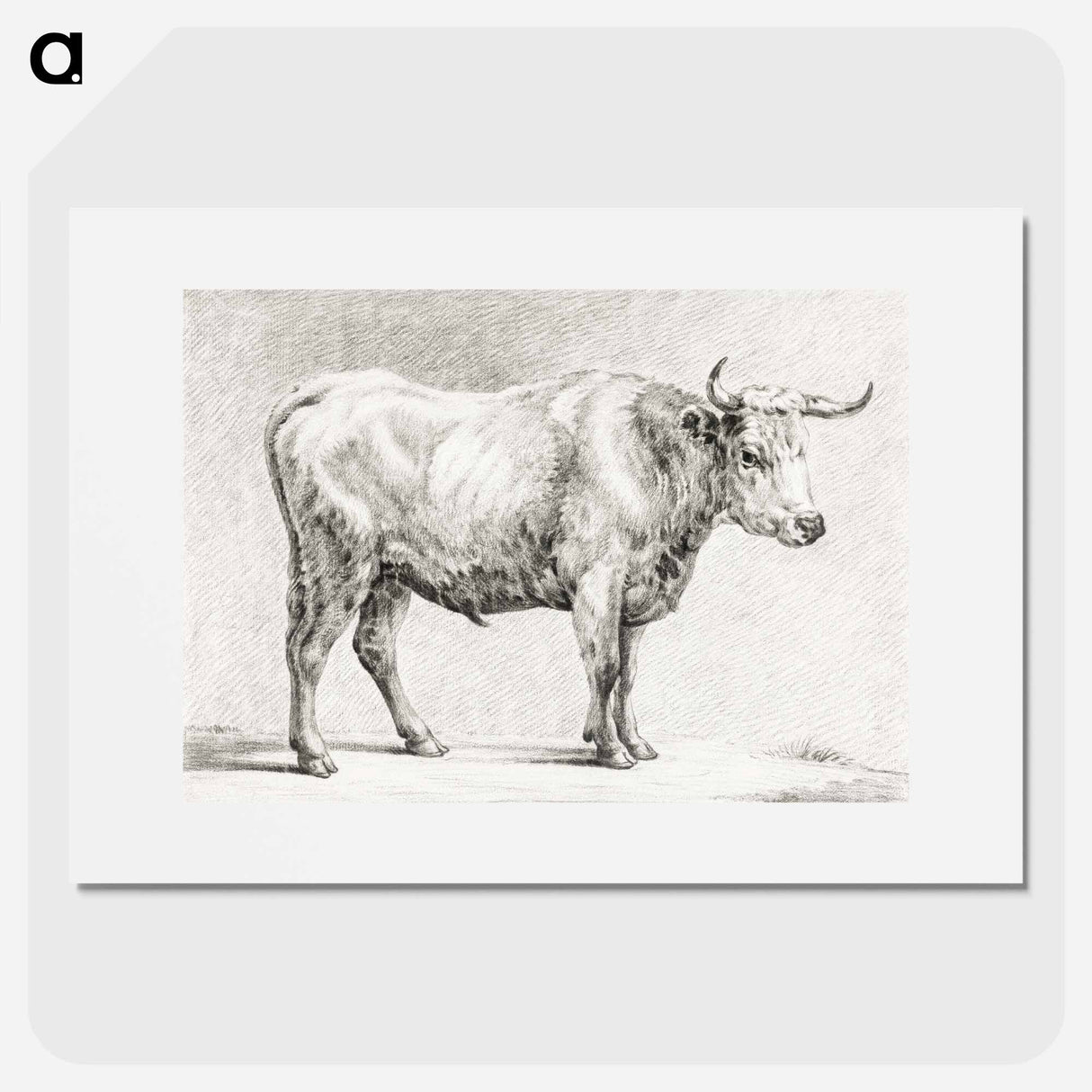 Standing bull - Jean Bernard Poster.