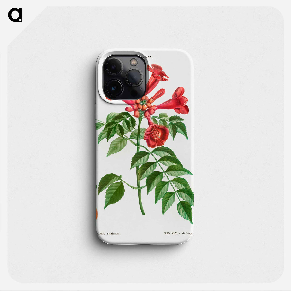 Trumpet vine - Pierre Joseph Redouté Phone Case.