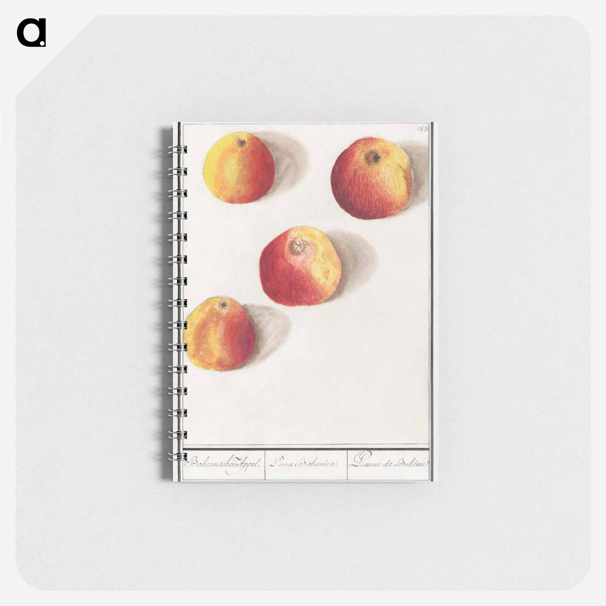 アートメモ帳-Apple - アンセルムス ボエティウス デ ブート Memo.