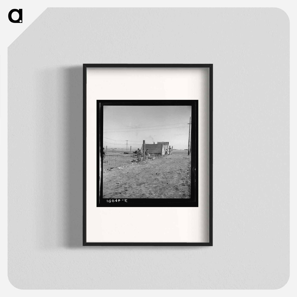 Calipatria, Imperial County - Dorothea Lange Poster.