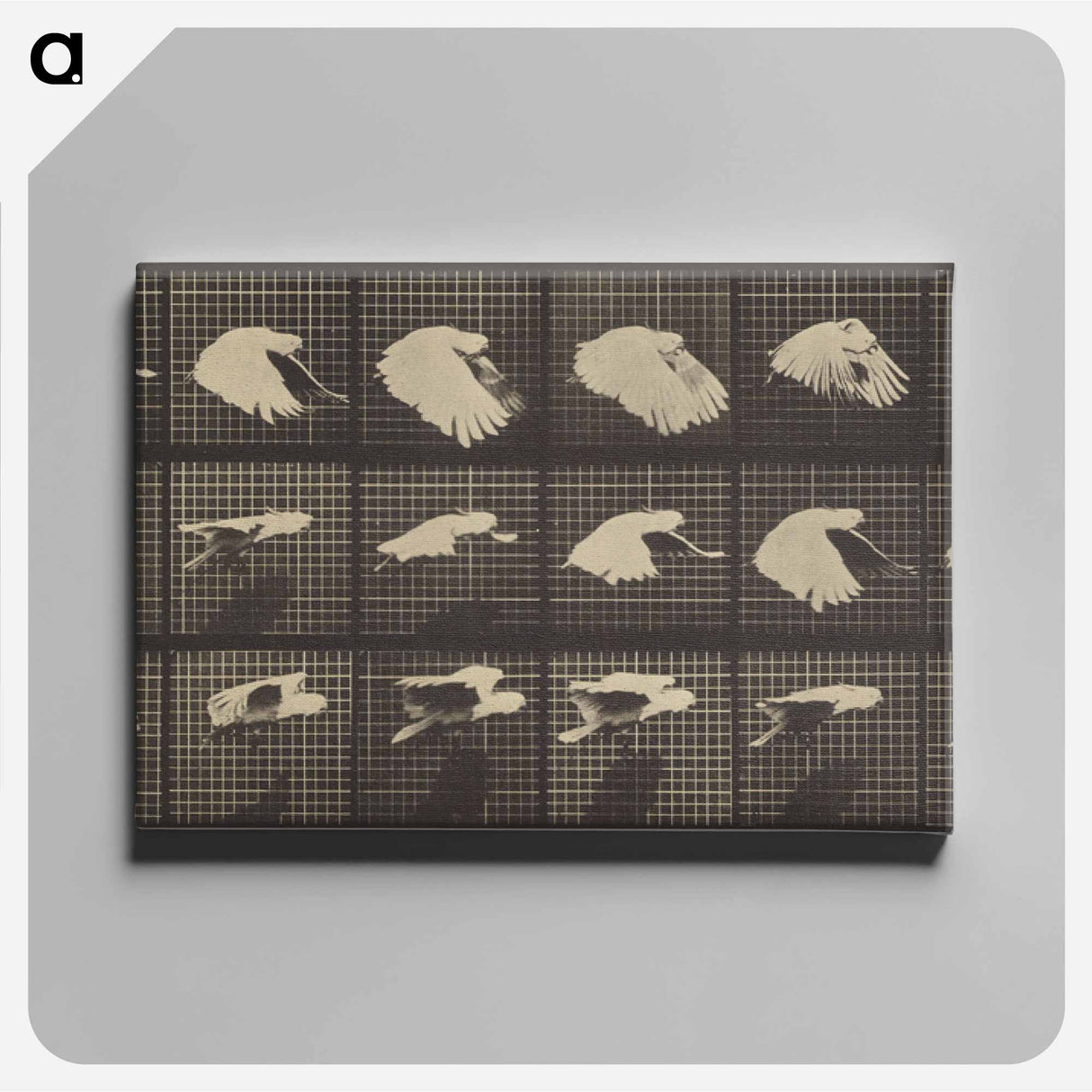 アートパネル-Animal Locomotion
- エドワード マイブリッジ Canvas.