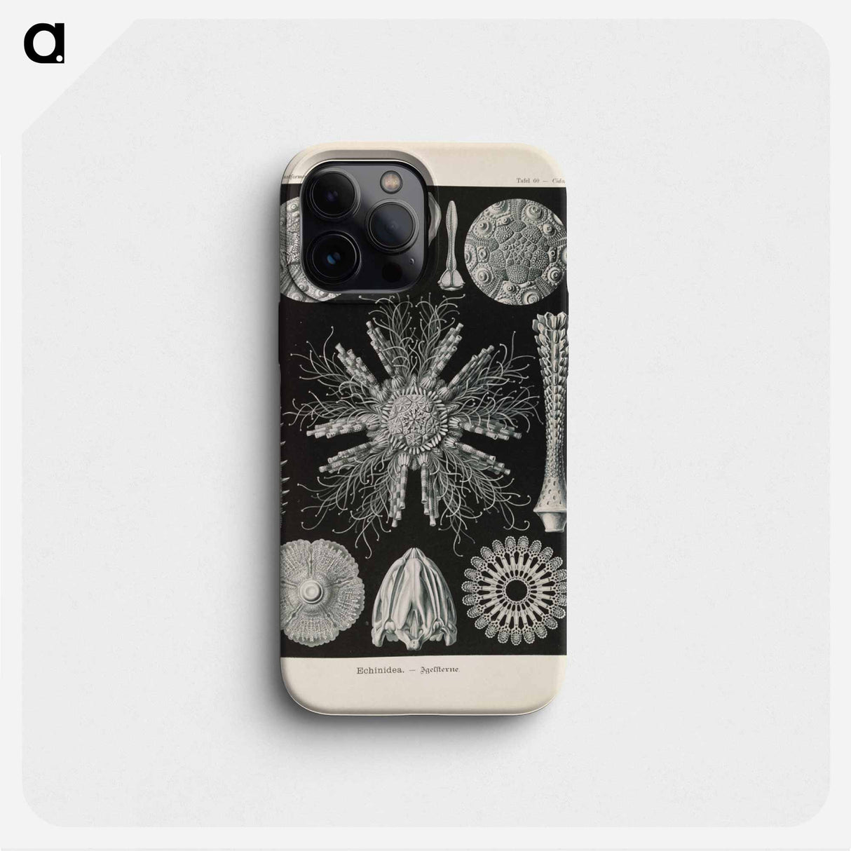 Marine life illustration - エルンスト ヘッケル Phone Case.