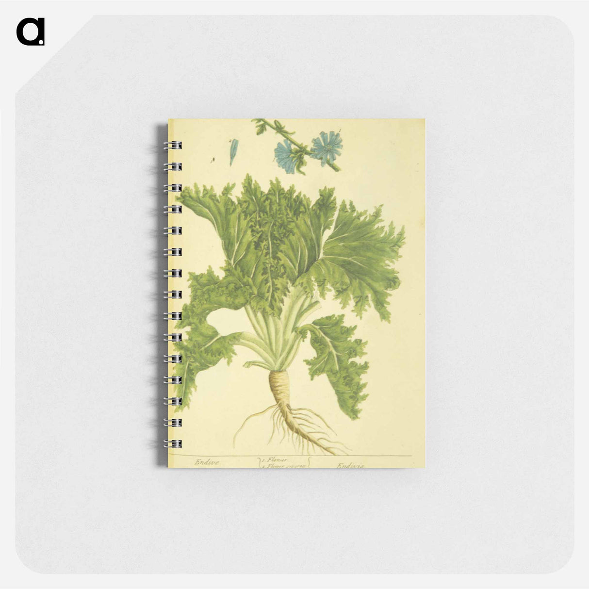 アートメモ帳-Endivia
- 国立医学図書館 Memo.