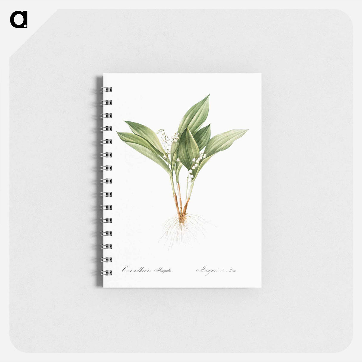 アートメモ帳-Lily of the valley - ピエール ジョゼフ ルドゥーテ Memo.