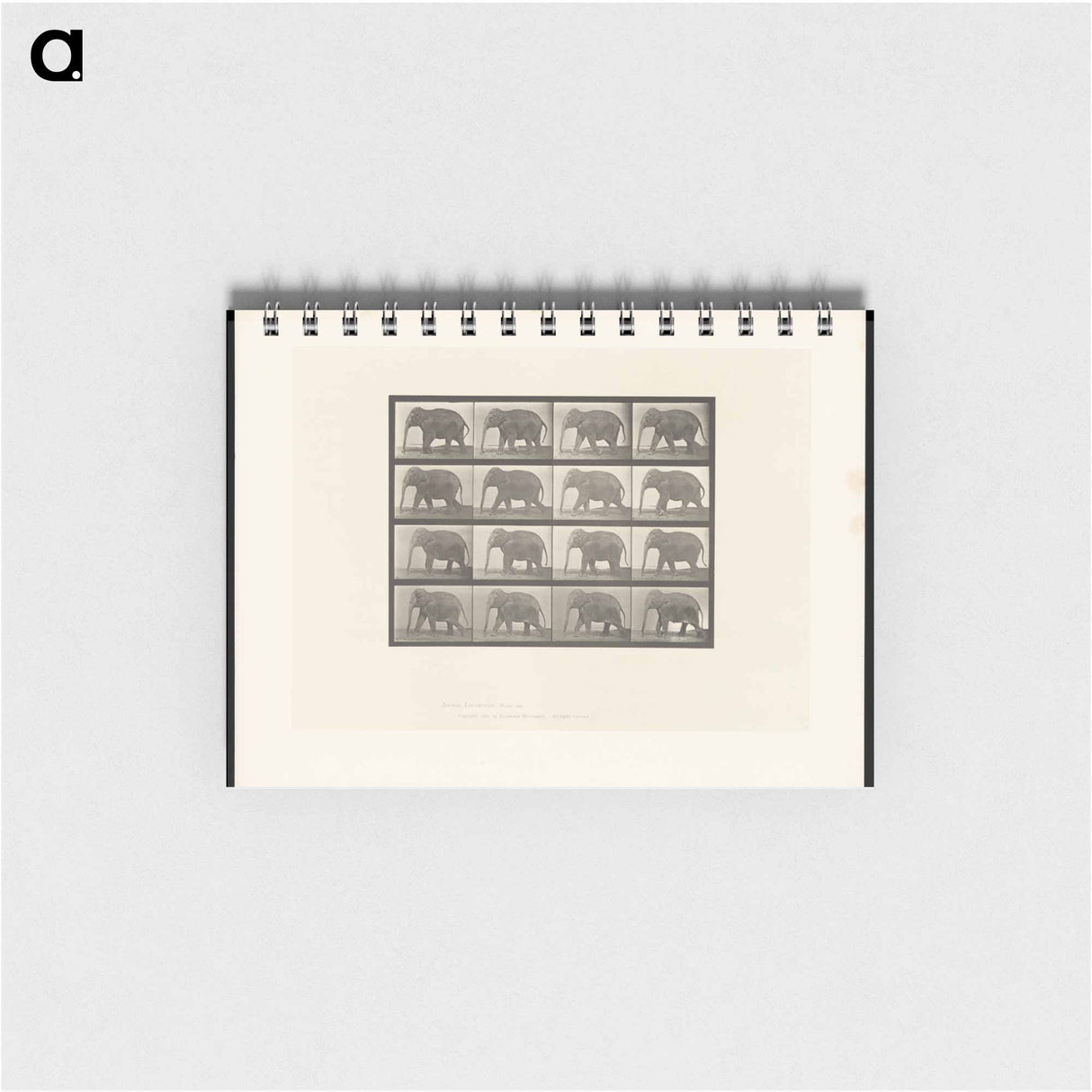 アートメモ帳-Elephant Walking
- エドワード マイブリッジ Memo.