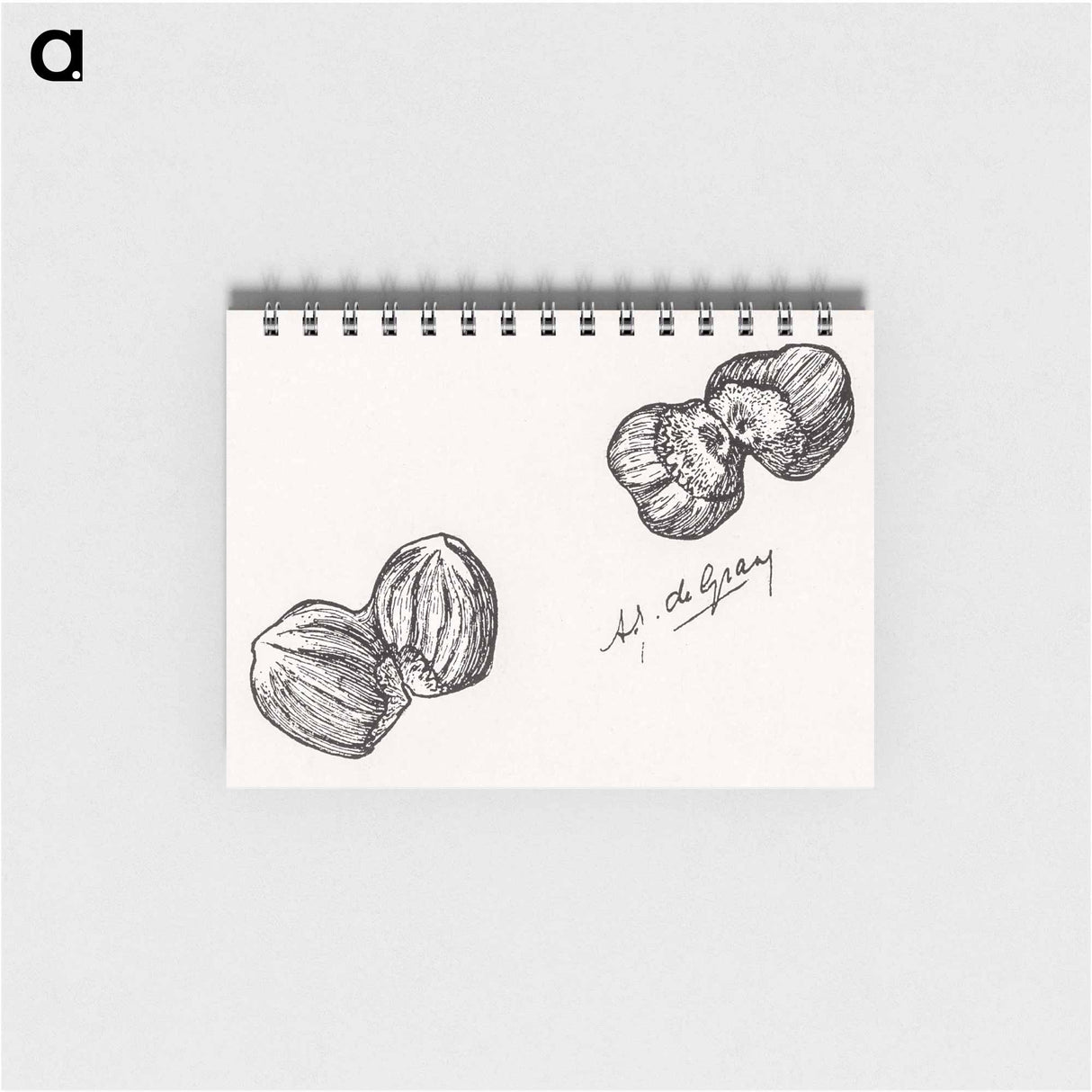 Four chestnuts - ユリー デ フラーハ Memo.