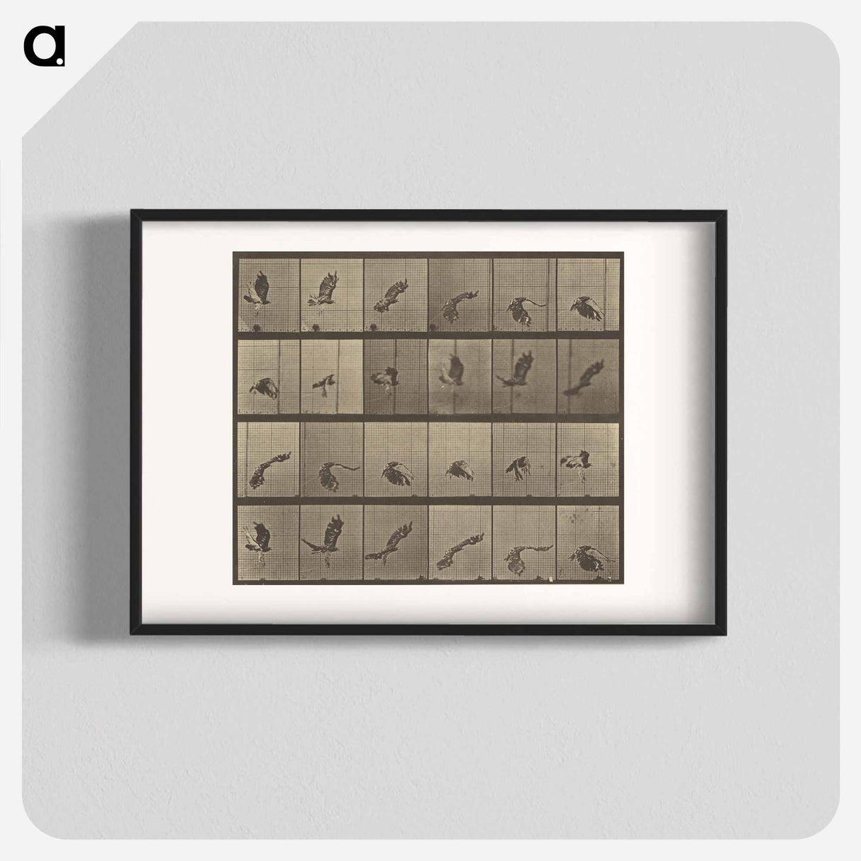 アートポスター-Animal Locomotion
- エドワード マイブリッジ Poster.