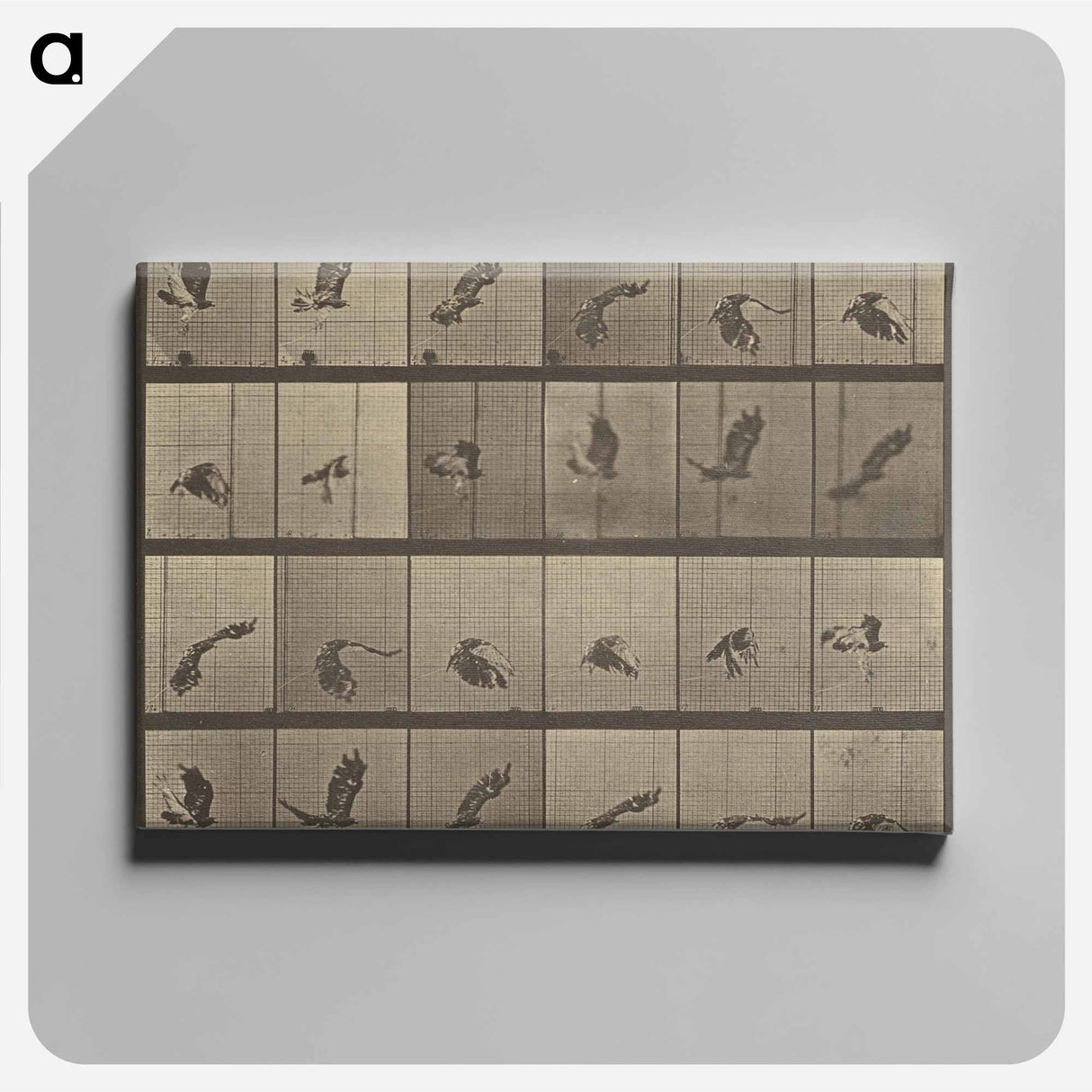 アートパネル-Animal Locomotion
- エドワード マイブリッジ Canvas.