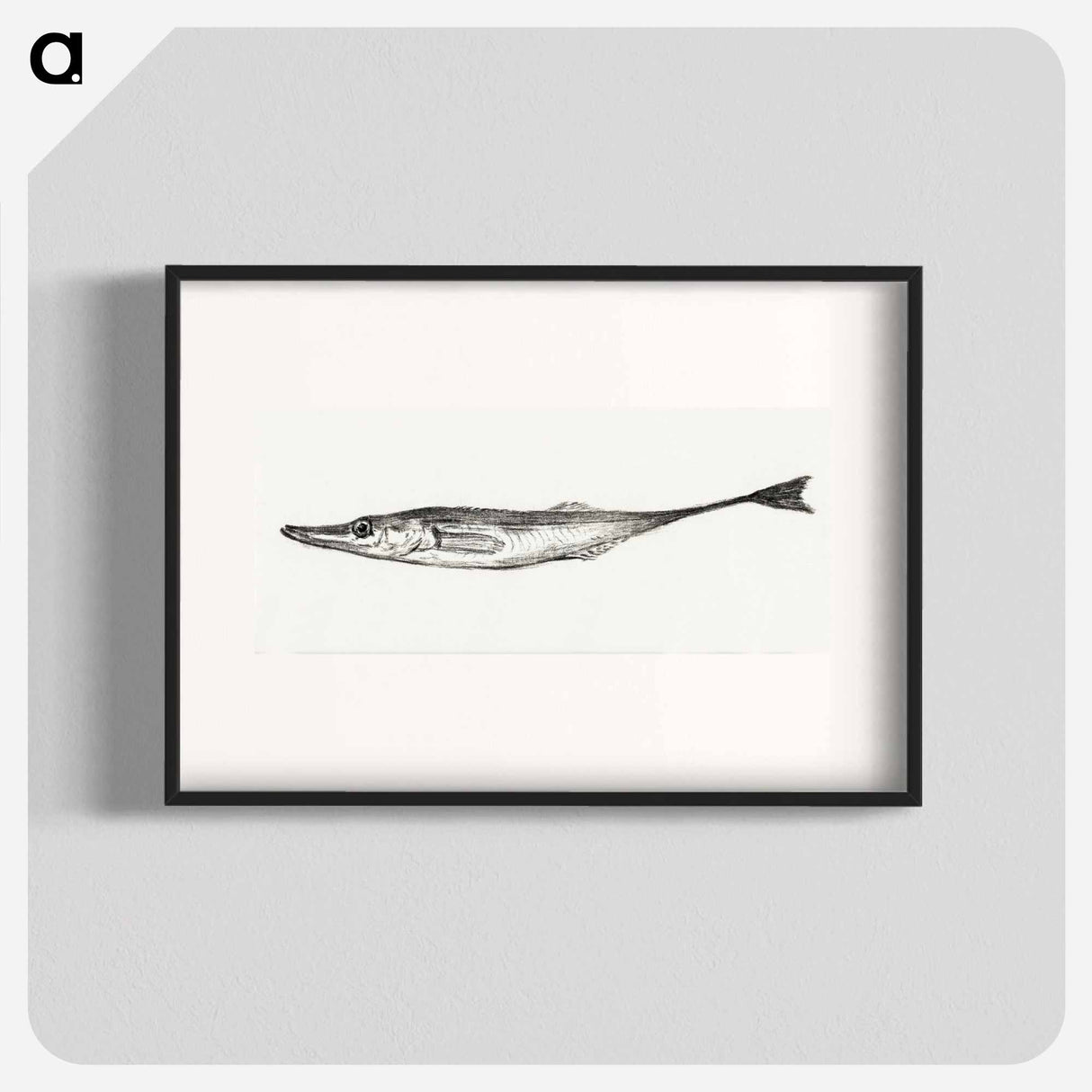 Fish - ジャン ベルナール Poster.