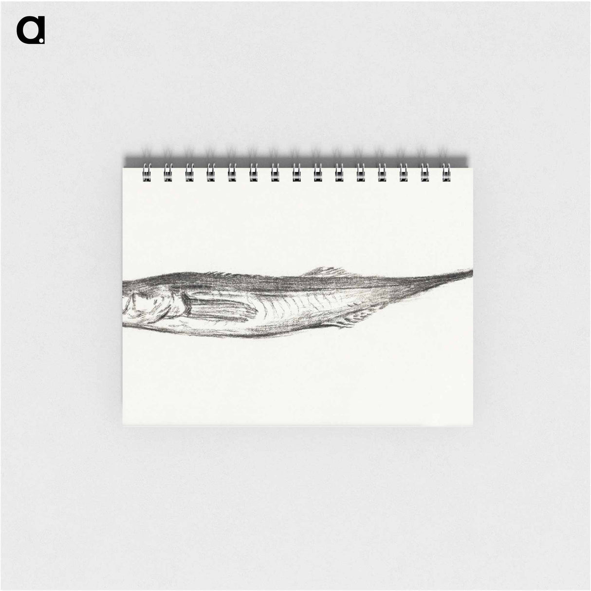 Fish - ジャン ベルナール Memo.