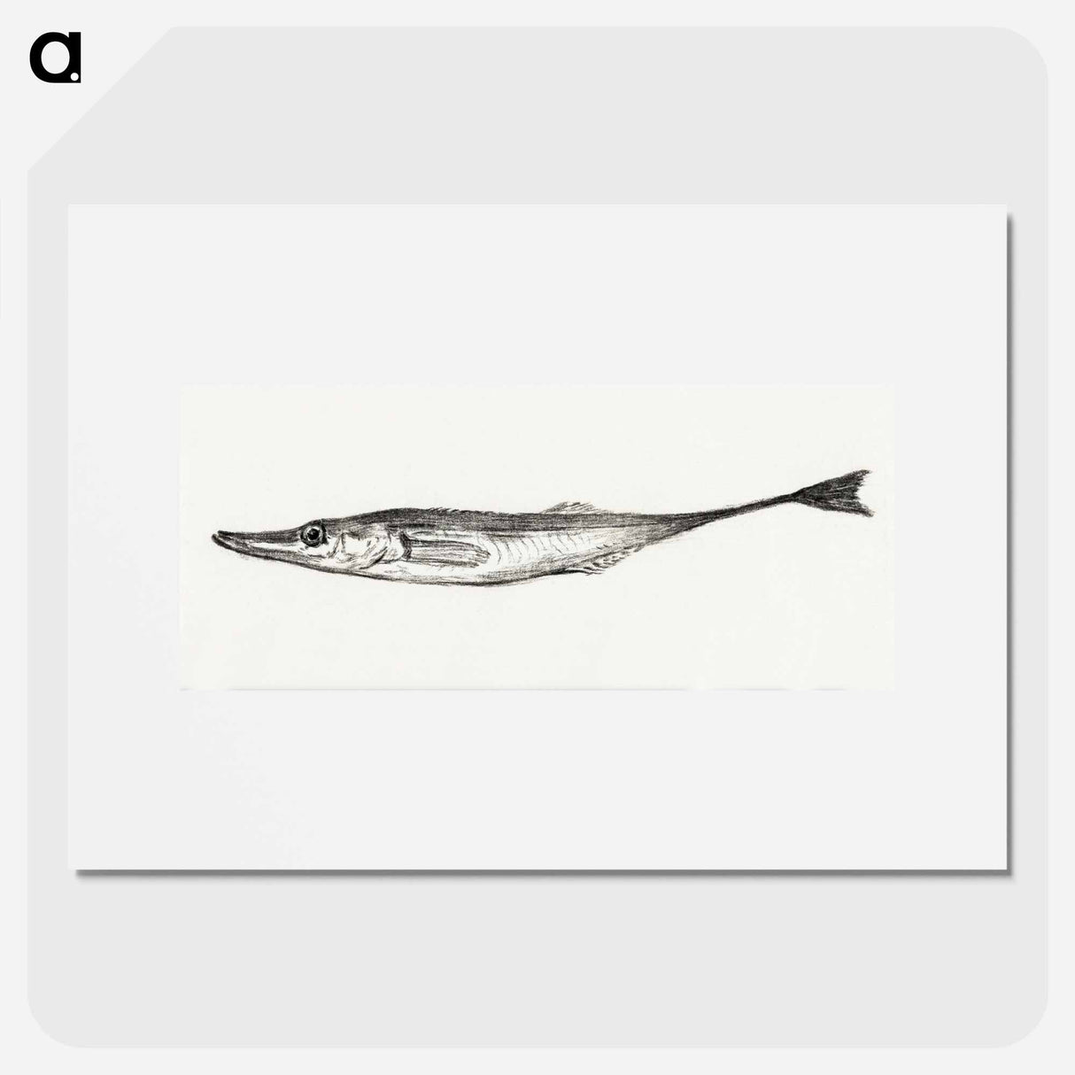 Fish - ジャン ベルナール Poster.