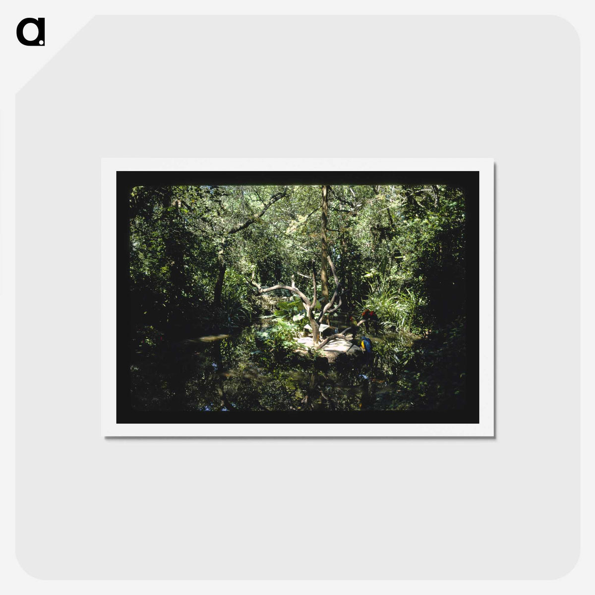 3-64_John-Margolies_hagaki