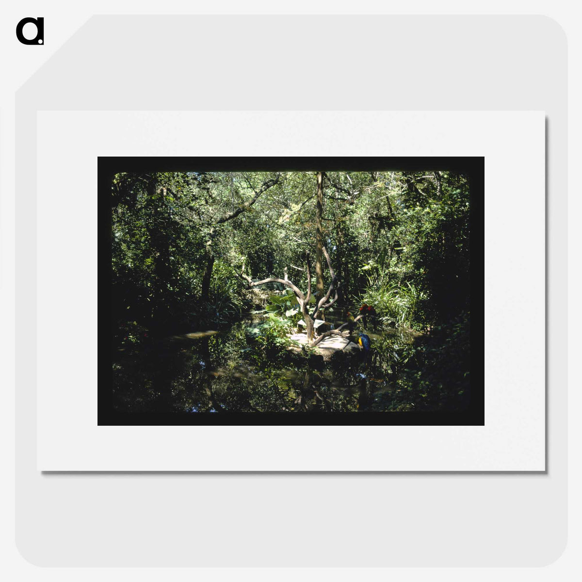 3-64_John-Margolies_picture