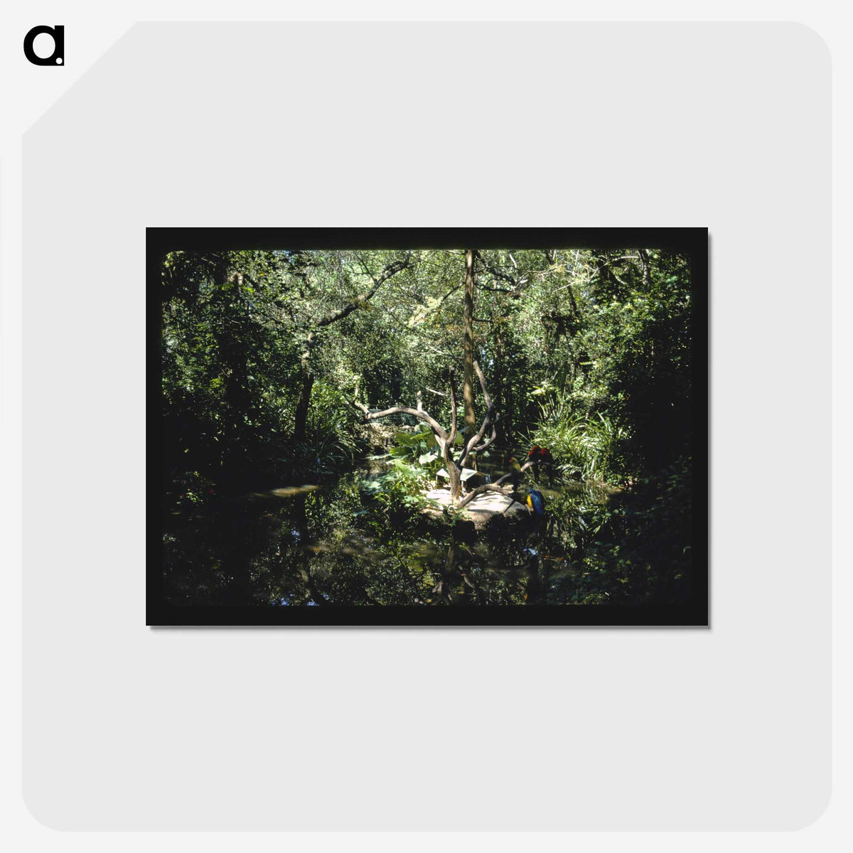 3-64_John-Margolies_postcard