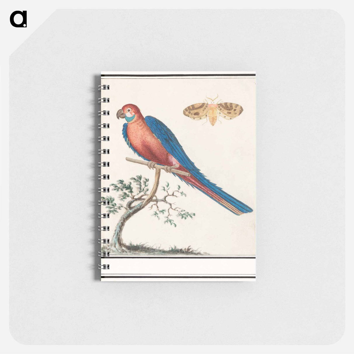 アートメモ帳-Blue and yellow macaw - アンセルムス ボエティウス デ ブート Memo.