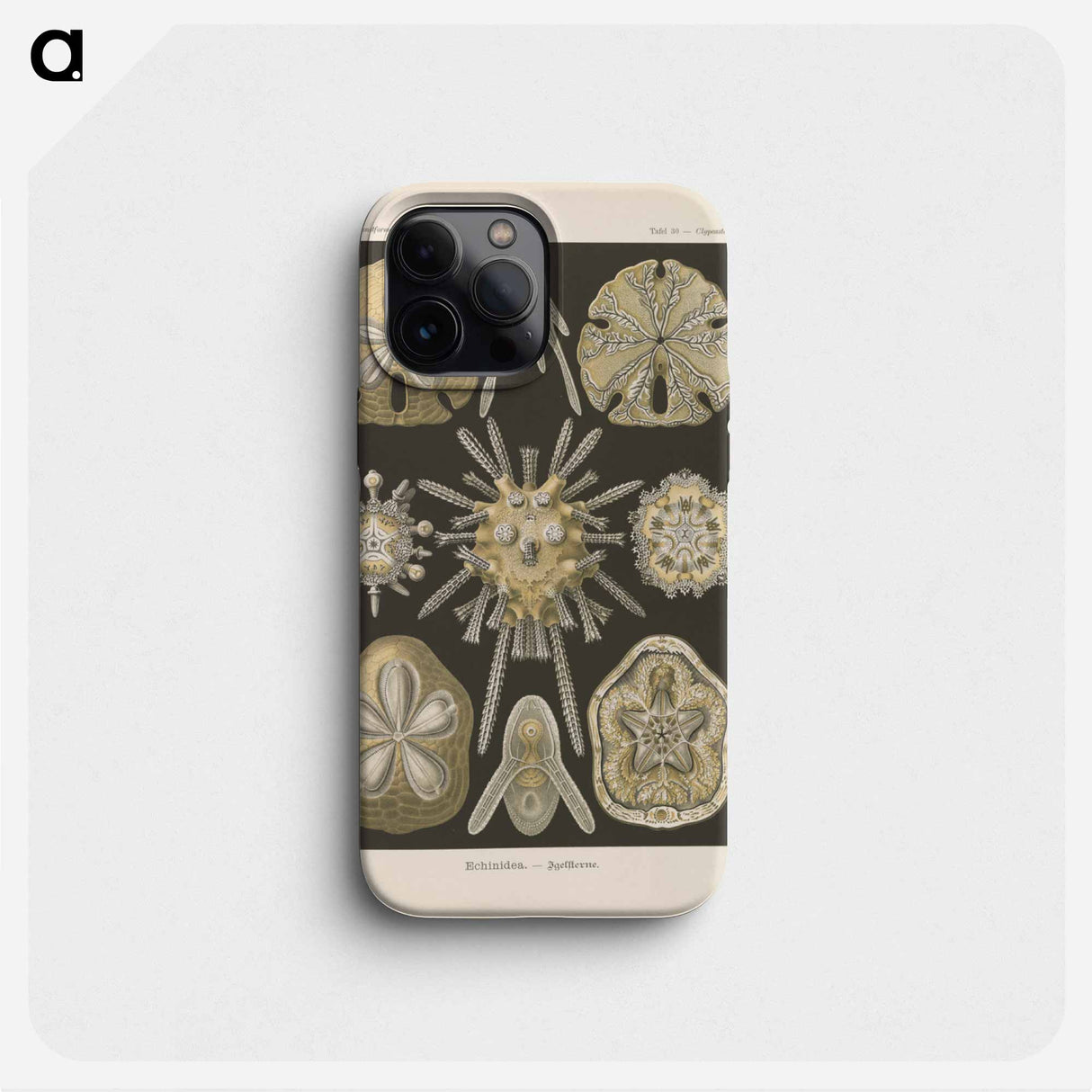 Marine life illustration - エルンスト ヘッケル Phone Case.