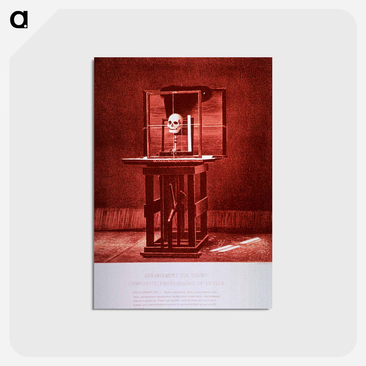 アートポストカード-Arrangement for Taking Composite Photographs of Skulls: Photograph No. 4
- 国立医学図書館 Postcard.