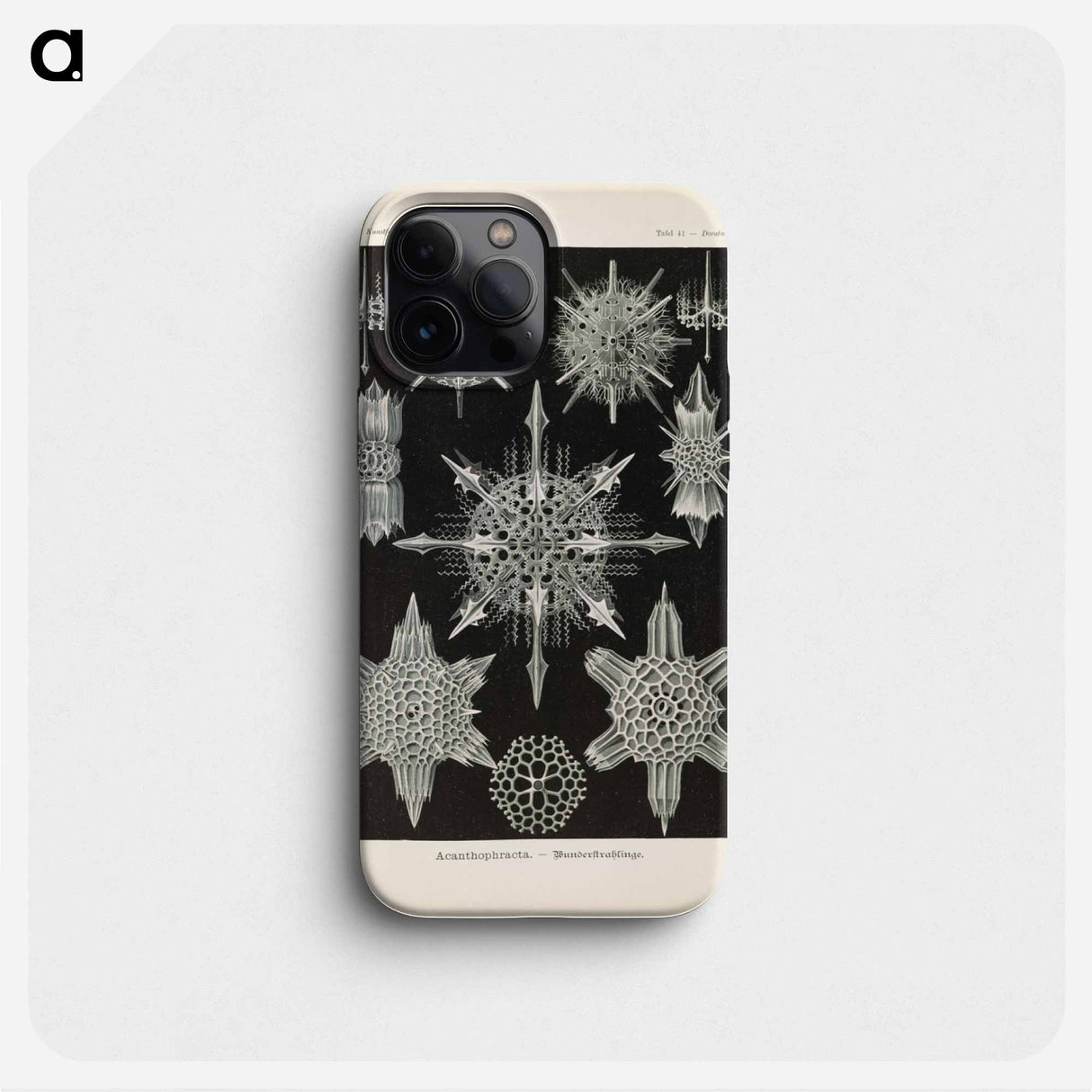 Marine life illustration - エルンスト ヘッケル Phone Case.
