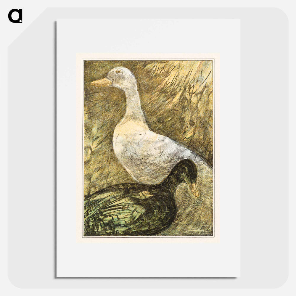 Twee staande eenden - Theo van Hoytema Poster.